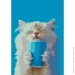 Riviera Blanca     28x40  (RB-1138)
