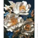 Riviera Blanca    " " 4050 , 249683 (RB-0916)