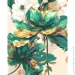 Riviera Blanca       " " 40x50 , 257316 (RB-1006)