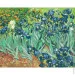 Riviera Blanca    .   40x50  (RB-0386)