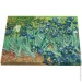 Riviera Blanca    .   40x50  (RB-0386)