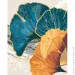Riviera Blanca    -  40x50  (RB-0723)