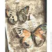 Riviera Blanca      40x50  (RB-0727)