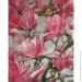 Riviera Blanca    볿 40x50  (RB-0775)