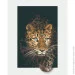 Riviera Blanca     40x50  (RB-0776)