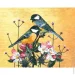 Riviera Blanca       40x50  (RB-0930)