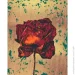 Riviera Blanca     40x50  (RB-0938)