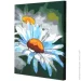 Riviera Blanca     40x50  (RB-1124)