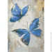    Riviera Blanca        - (ITR-031) 2   