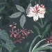    Riviera Blanca       (ITR-056) 4   
