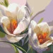    Riviera Blanca      (ITR-073) 3 .