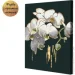    Riviera Blanca          (ITR-088) 2   