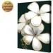    Riviera Blanca          (ITR-088) 2   