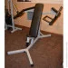     RN-Sport  ,  ,   (-64---)