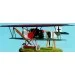  Roden Fokker D.VII (RN415)