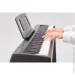   Roland FP-10