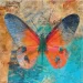 Rosa Start      Butterfly 13030 