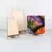 Rosa Studio    5 500141302 171528 