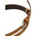 Rovicky    ,  1   (PDR1 camel)