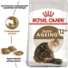   Royal Canin  Ageing + 12 2 