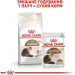   Royal Canin  Ageing + 12 2 