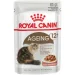   Royal Canin    AGEING 12+ ( 12+ ), , 85 