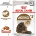   Royal Canin    AGEING 12+ ( 12+ ), , 85 
