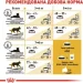   Royal Canin  Bengal Adult 2 