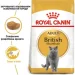   Royal Canin  British Shorthair Adult 2 