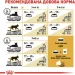   Royal Canin  British Shorthair Adult 2 