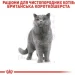   Royal Canin  British Shorthair Adult 2 