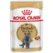   Royal Canin         British Shorthair Adult 3+ 1 . 85 