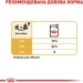   Royal Canin    CHIHUAHUA ADULT ( ), , 85 