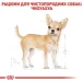   Royal Canin    CHIHUAHUA ADULT ( ), , 85 