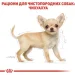   Royal Canin    CHIHUAHUA PUPPY 0,5 