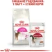   Royal Canin  Exigent Aromatic 2 
