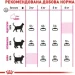   Royal Canin    SAVOUR EXIGENT ( ), 2 