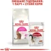   Royal Canin    SAVOUR EXIGENT ( ), 2 