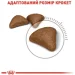   Royal Canin    HAIRBALL CARE ( ), 2 