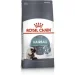   Royal Canin    HAIRBALL CARE ( ), 2 