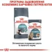   Royal Canin    HAIRBALL CARE ( ), 2 