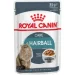   Royal Canin  Hairball Care   85 