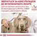 Royal Canin    HEPATIC ( ), , 420 