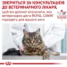   Royal Canin    HYPOALLERGENIC FELINE ( ), 0,5 