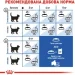   Royal Canin    INDOOR (), 2 