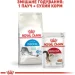   Royal Canin    INDOOR (), 2 