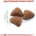   Royal Canin    INDOOR (), 2 
