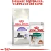   Royal Canin  Instinctive + 7   85 