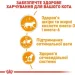   Royal Canin  Intense Beauty   85 