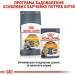   Royal Canin  Intense Beauty   85 